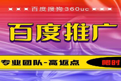 百度广告投放策略优化及成功案例解析